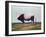 The Bull with Horns-Vincent Haddelsey-Framed Giclee Print