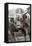 The Bull-Jacky Parker-Framed Premier Image Canvas