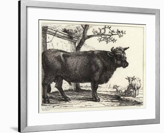 The Bull-Paulus Potter-Framed Giclee Print