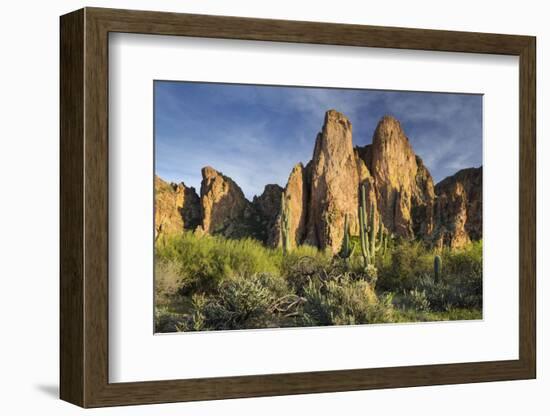 The Bulldogs, Carnegiea Gigantea, Goldfield Mountains, Lower Salt River, Arizona, Usa-Rainer Mirau-Framed Photographic Print