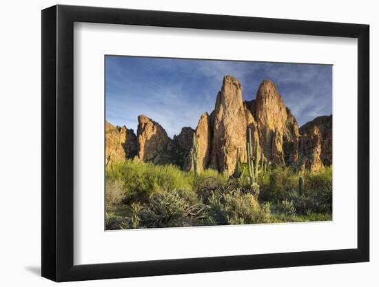 The Bulldogs, Carnegiea Gigantea, Goldfield Mountains, Lower Salt River, Arizona, Usa-Rainer Mirau-Framed Photographic Print