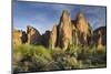 The Bulldogs, Carnegiea Gigantea, Goldfield Mountains, Lower Salt River, Arizona, Usa-Rainer Mirau-Mounted Photographic Print