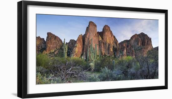 The Bulldogs, Carnegiea Gigantea, Goldfield Mountains, Lower Salt River, Arizona, Usa-Rainer Mirau-Framed Photographic Print