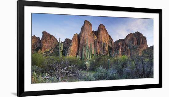 The Bulldogs, Carnegiea Gigantea, Goldfield Mountains, Lower Salt River, Arizona, Usa-Rainer Mirau-Framed Photographic Print