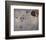 The Bullfight-Joan Miro-Framed Collectable Print