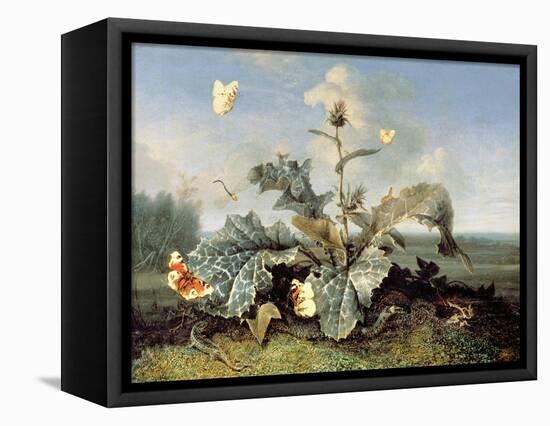 The Burdock Bush-Otto Marseus Van Schrieck-Framed Premier Image Canvas