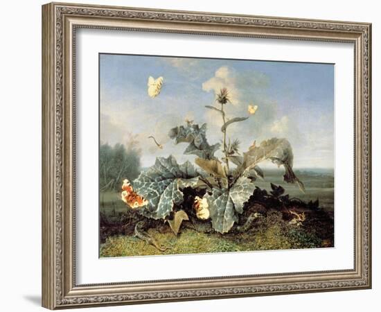 The Burdock Bush-Otto Marseus Van Schrieck-Framed Giclee Print