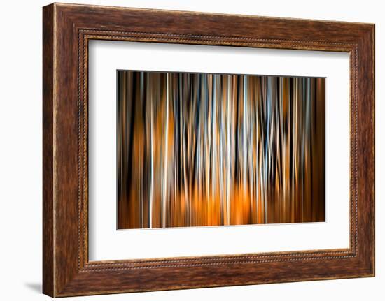 The Burn 2-Ursula Abresch-Framed Photographic Print