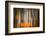 The Burn 2-Ursula Abresch-Framed Photographic Print