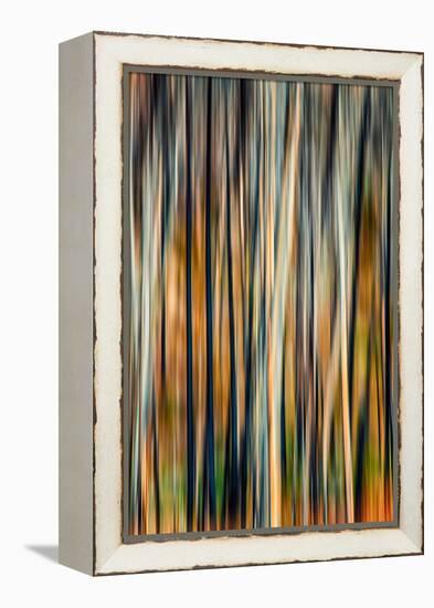 The Burn 3-Ursula Abresch-Framed Premier Image Canvas