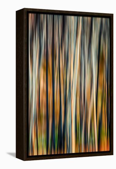 The Burn 3-Ursula Abresch-Framed Premier Image Canvas