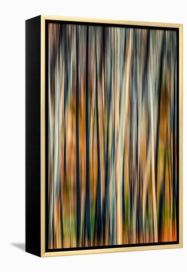 The Burn 3-Ursula Abresch-Framed Premier Image Canvas