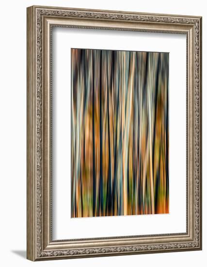 The Burn 3-Ursula Abresch-Framed Photographic Print