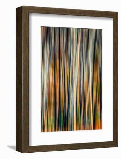 The Burn 3-Ursula Abresch-Framed Photographic Print