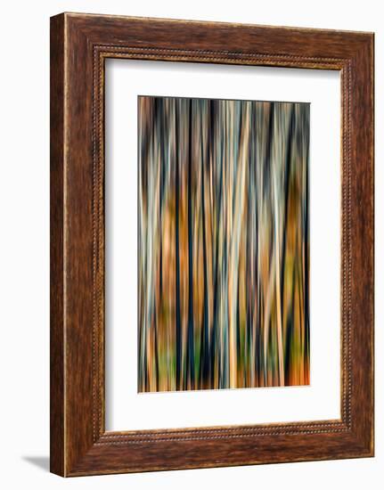 The Burn 3-Ursula Abresch-Framed Photographic Print