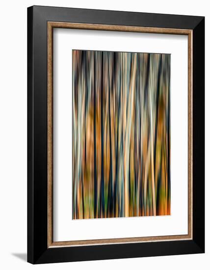 The Burn 3-Ursula Abresch-Framed Photographic Print