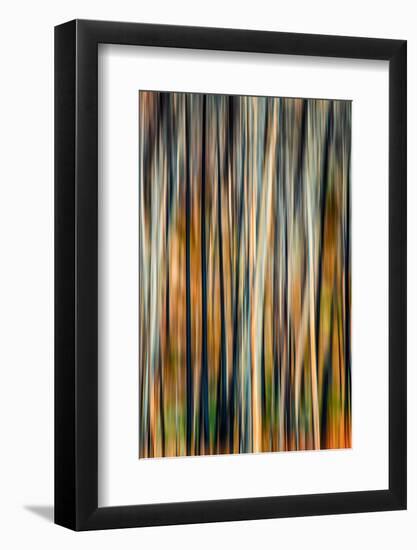 The Burn 3-Ursula Abresch-Framed Photographic Print