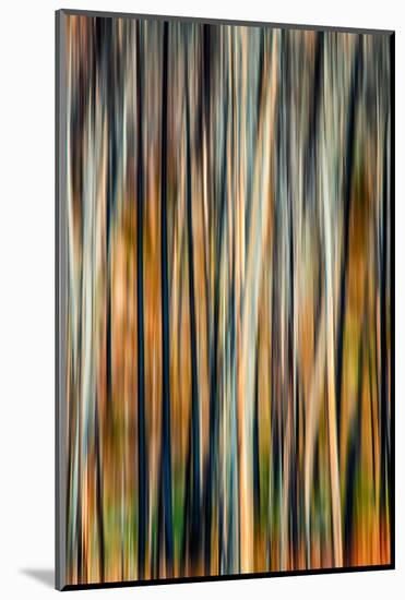 The Burn 3-Ursula Abresch-Mounted Photographic Print