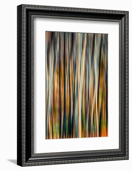 The Burn 3-Ursula Abresch-Framed Photographic Print