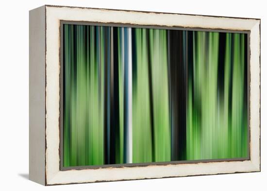 The Burn in Spring-Ursula Abresch-Framed Premier Image Canvas