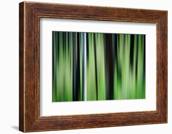 The Burn in Spring-Ursula Abresch-Framed Photographic Print