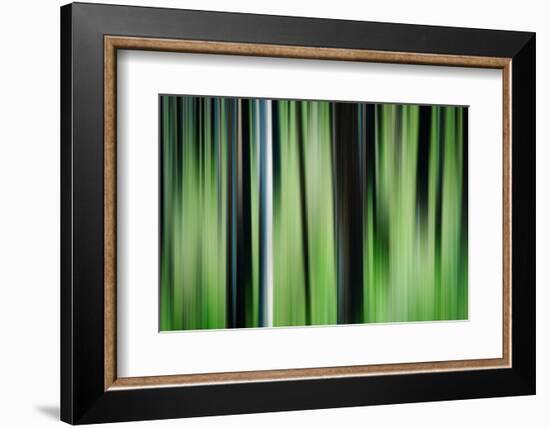 The Burn in Spring-Ursula Abresch-Framed Photographic Print