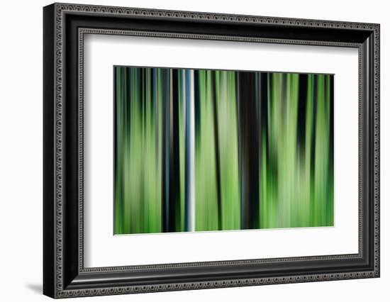 The Burn in Spring-Ursula Abresch-Framed Photographic Print