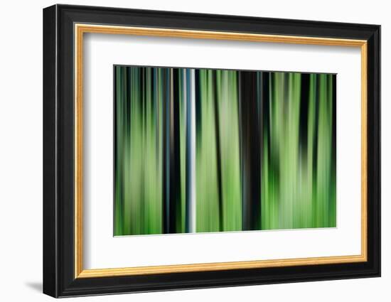 The Burn in Spring-Ursula Abresch-Framed Photographic Print