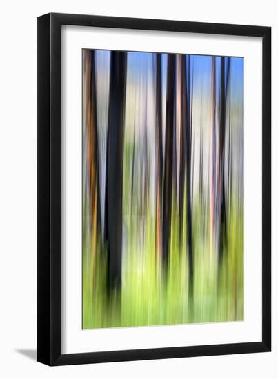 The Burn-Ursula Abresch-Framed Photographic Print