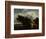 The Bush, Ca. 1650-82-Jacob van Ruisdael-Framed Art Print