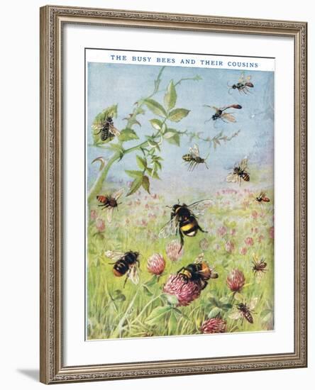 The Busy Bees and their Cousins-Maud Scrivener-Framed Giclee Print