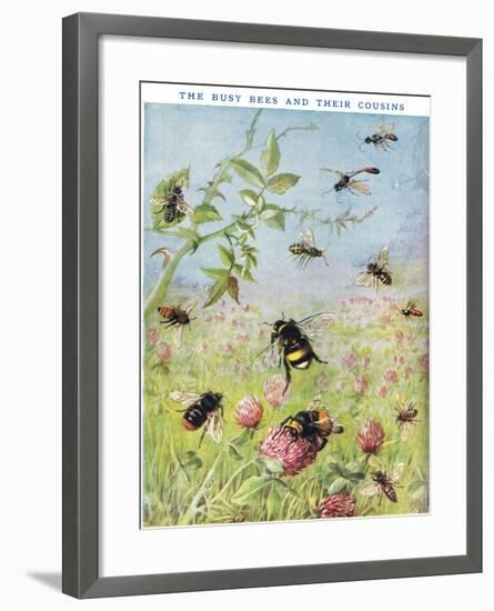 The Busy Bees and their Cousins-Maud Scrivener-Framed Giclee Print