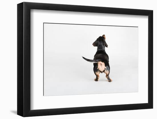 The Butt-Susan Sabo-Framed Photographic Print