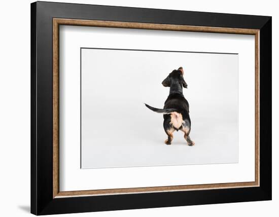 The Butt-Susan Sabo-Framed Photographic Print