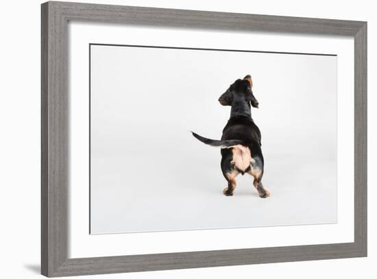 The Butt-Susan Sabo-Framed Photographic Print