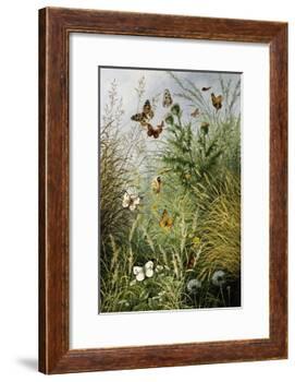 The Butterflies' Haunt (Dandelion Clocks and Thistles)-William Scott Myles-Framed Giclee Print