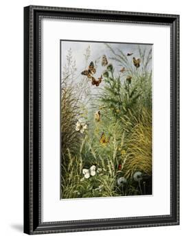 The Butterflies' Haunt (Dandelion Clocks and Thistles)-William Scott Myles-Framed Giclee Print