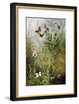 The Butterflies' Haunt (Dandelion Clocks and Thistles)-William Scott Myles-Framed Giclee Print