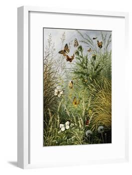 The Butterflies' Haunt (Dandelion Clocks and Thistles)-William Scott Myles-Framed Giclee Print