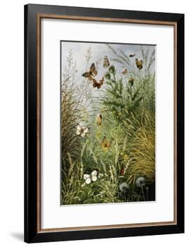The Butterflies' Haunt (Dandelion Clocks and Thistles)-William Scott Myles-Framed Giclee Print