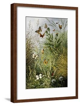 The Butterflies' Haunt (Dandelion Clocks and Thistles)-William Scott Myles-Framed Giclee Print