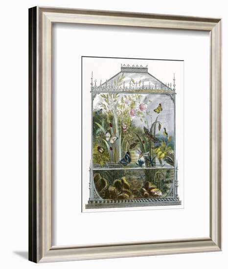 The Butterfly Vivarium-English-Framed Premium Giclee Print