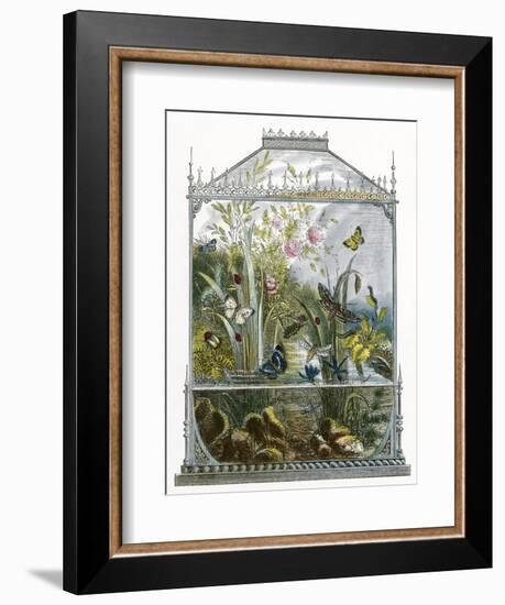 The Butterfly Vivarium-English-Framed Premium Giclee Print