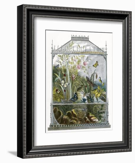 The Butterfly Vivarium-English-Framed Premium Giclee Print