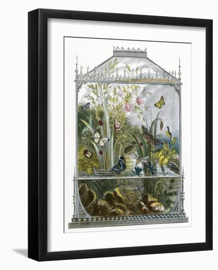 The Butterfly Vivarium-English-Framed Giclee Print