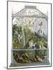 The Butterfly Vivarium-English-Mounted Giclee Print