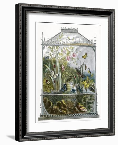 The Butterfly Vivarium-English-Framed Giclee Print