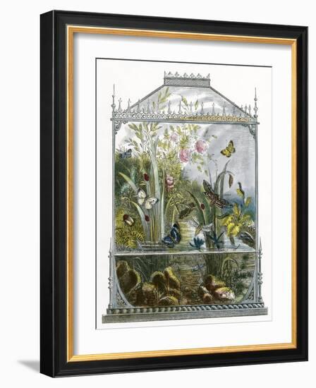 The Butterfly Vivarium-English-Framed Giclee Print