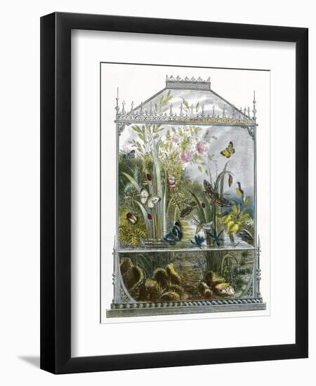 The Butterfly Vivarium-English-Framed Giclee Print