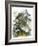 The Butterfly Vivarium-English-Framed Giclee Print